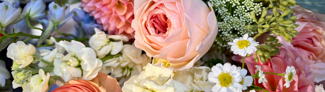 A Mother’s Day Message from Posh! - Posh Boutique