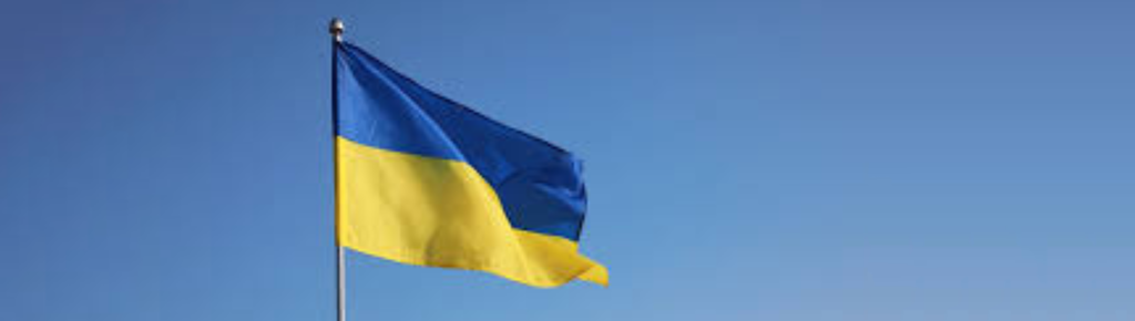 Ukraine Charity Donation!