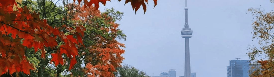 Newness - Posh Boutique