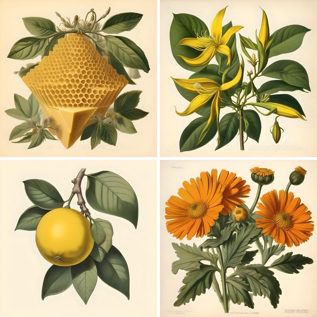 Blooming Wild Good Vibrations AromatherapyPosh Boutique