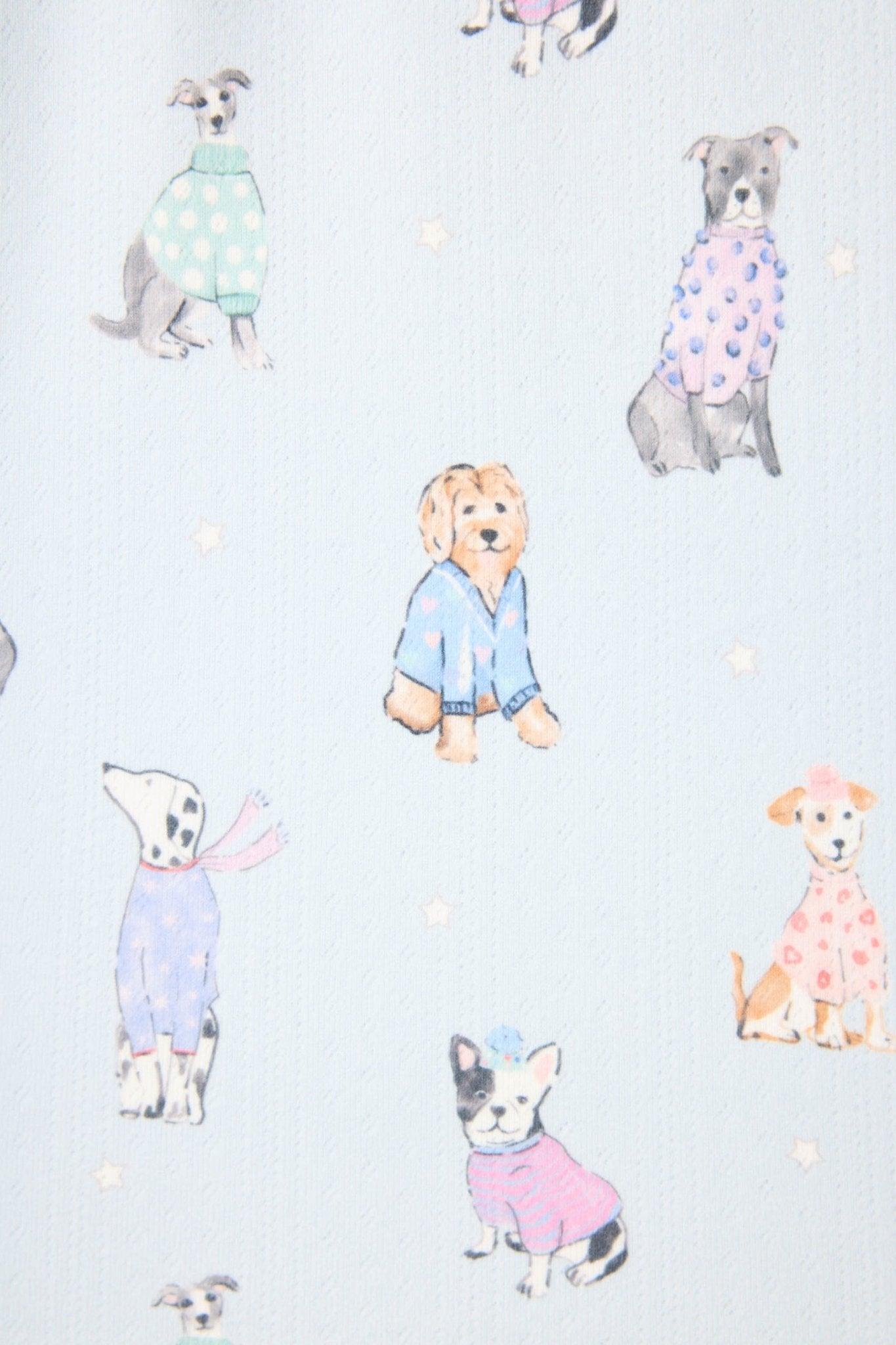 Doggone Cold Pj SetPosh Boutique