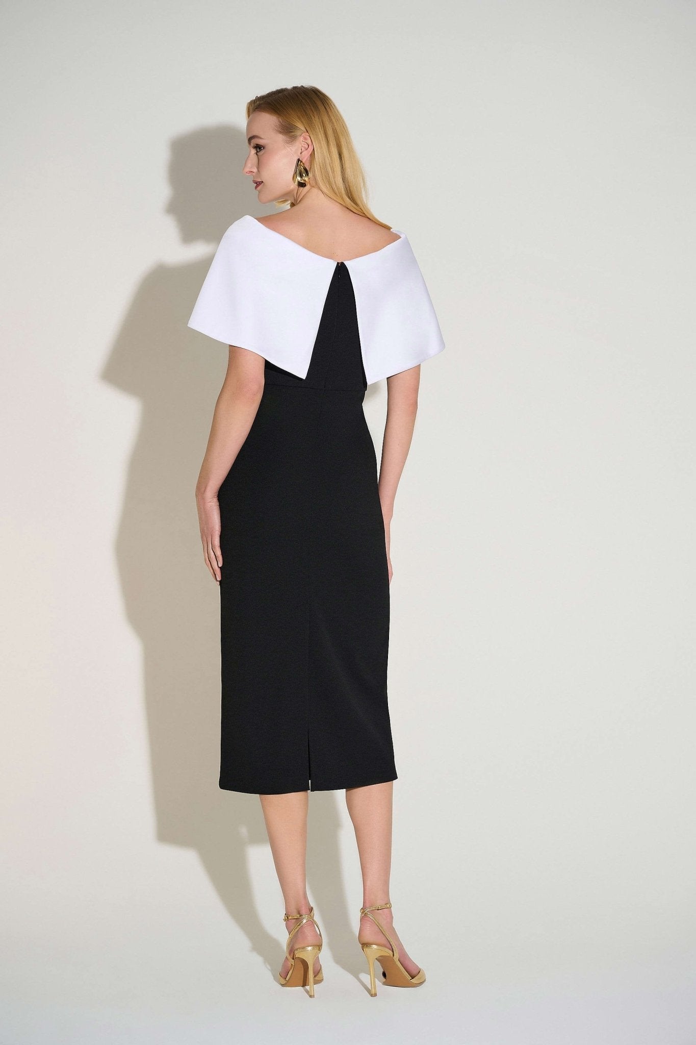 Joseph Ribkoff Audrey DressDressesPosh Boutique