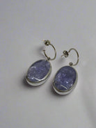 Merx Duo Oval EarringsJewelryPosh Boutique