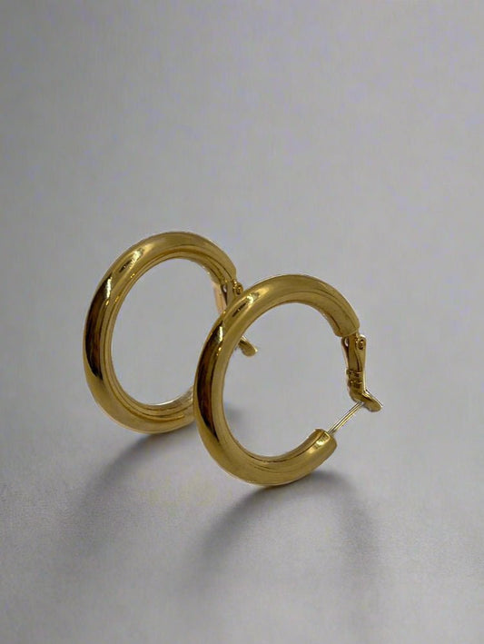 Merx Medium Hoop EarringsJewelryPosh Boutique