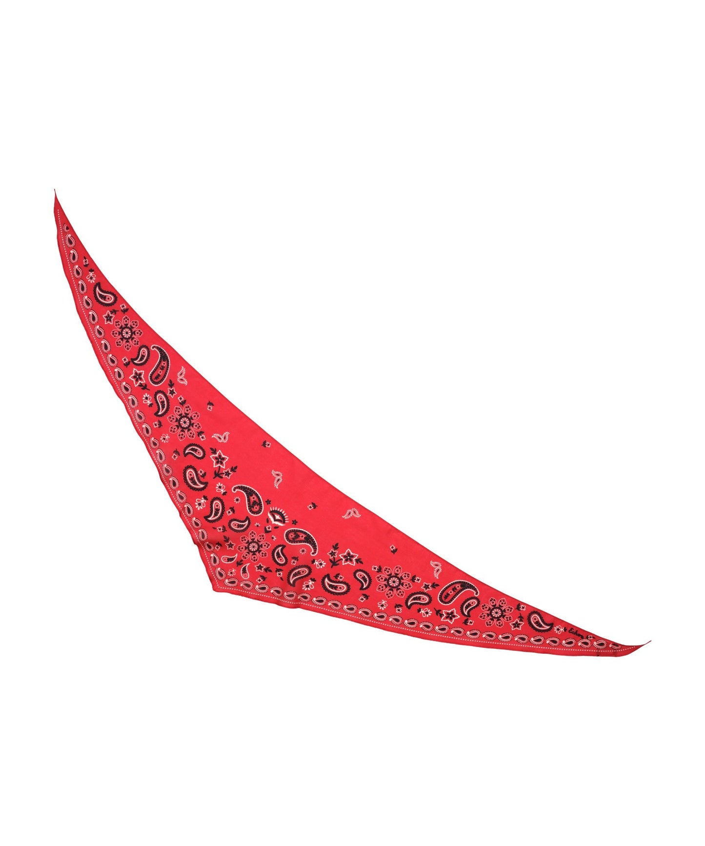 Paisley Triangle BandanaPosh Boutique