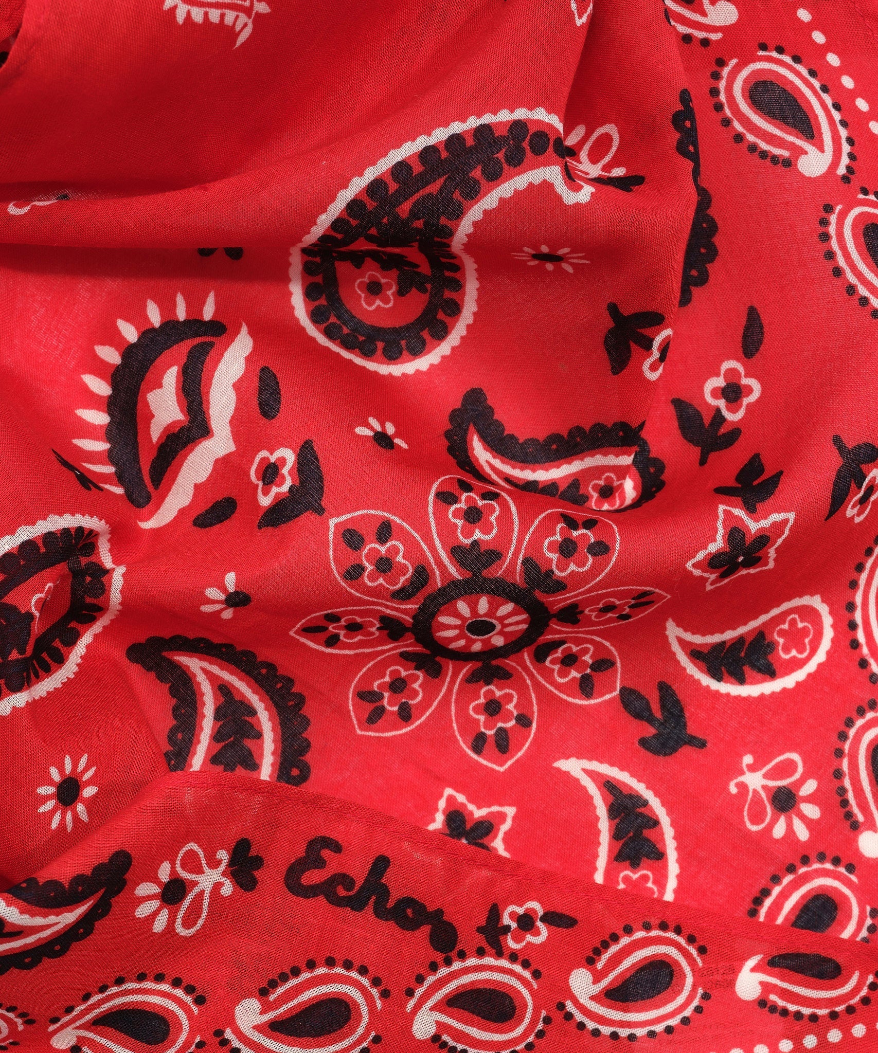 Paisley Triangle BandanaPosh Boutique