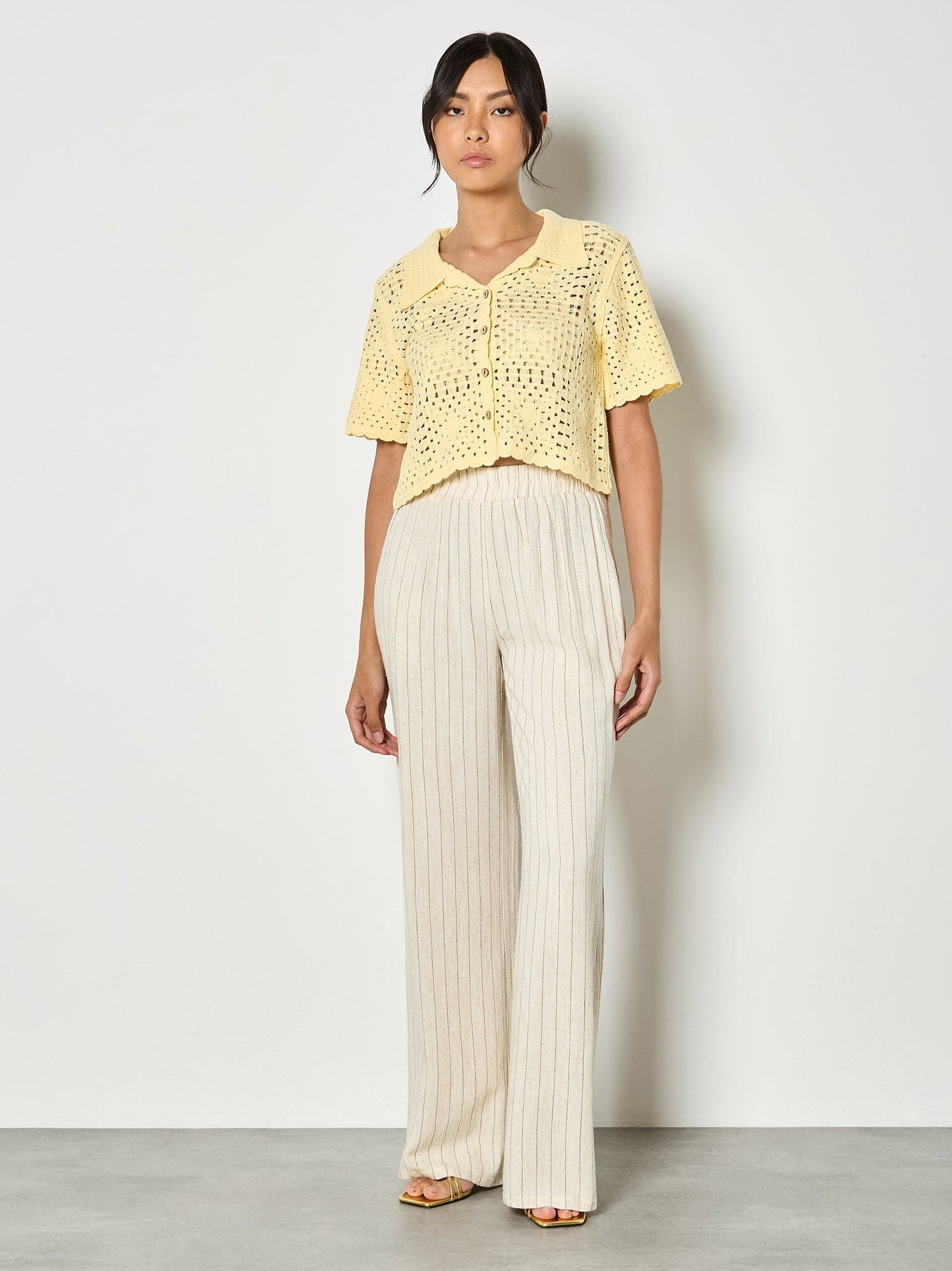 Pinstripe PantPantsPosh Boutique