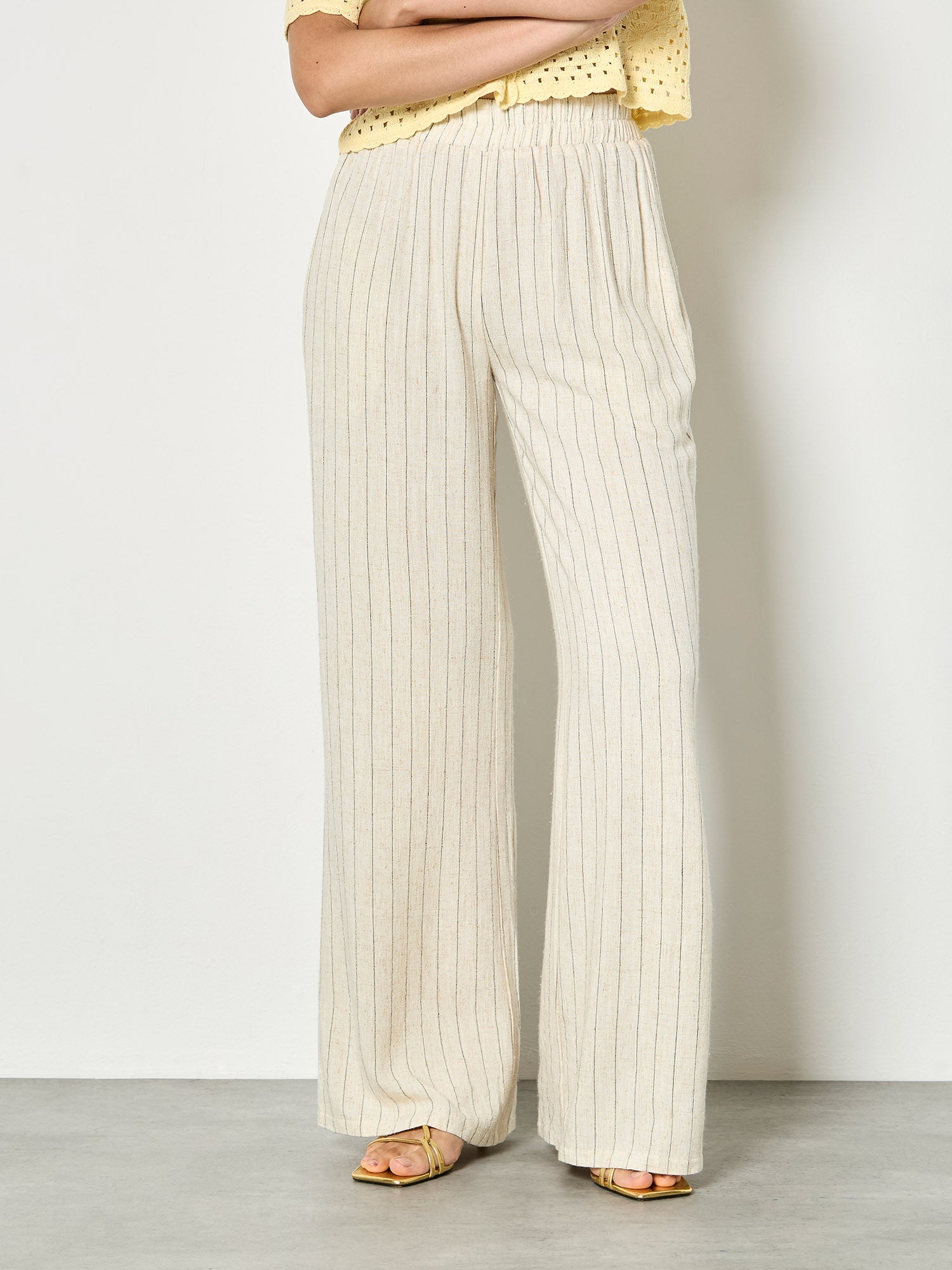 Pinstripe PantPantsPosh Boutique