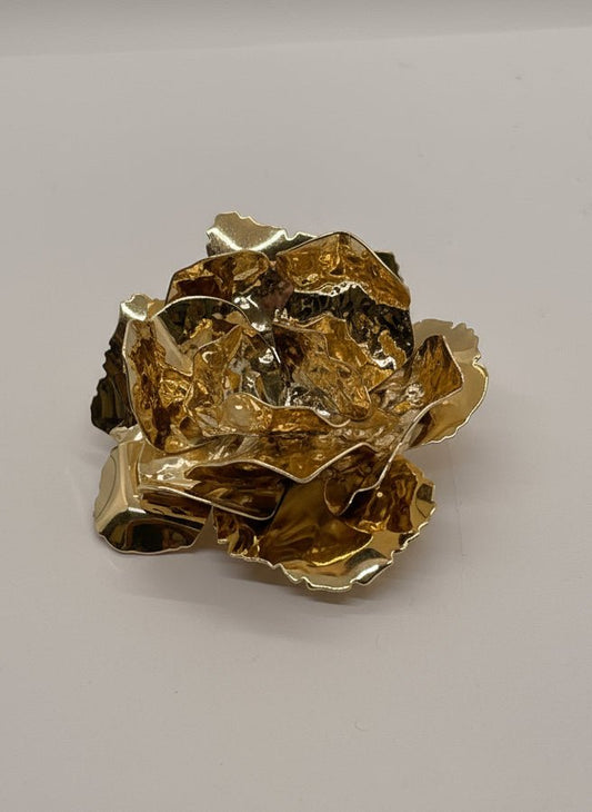 Rosy BroochPosh Boutique