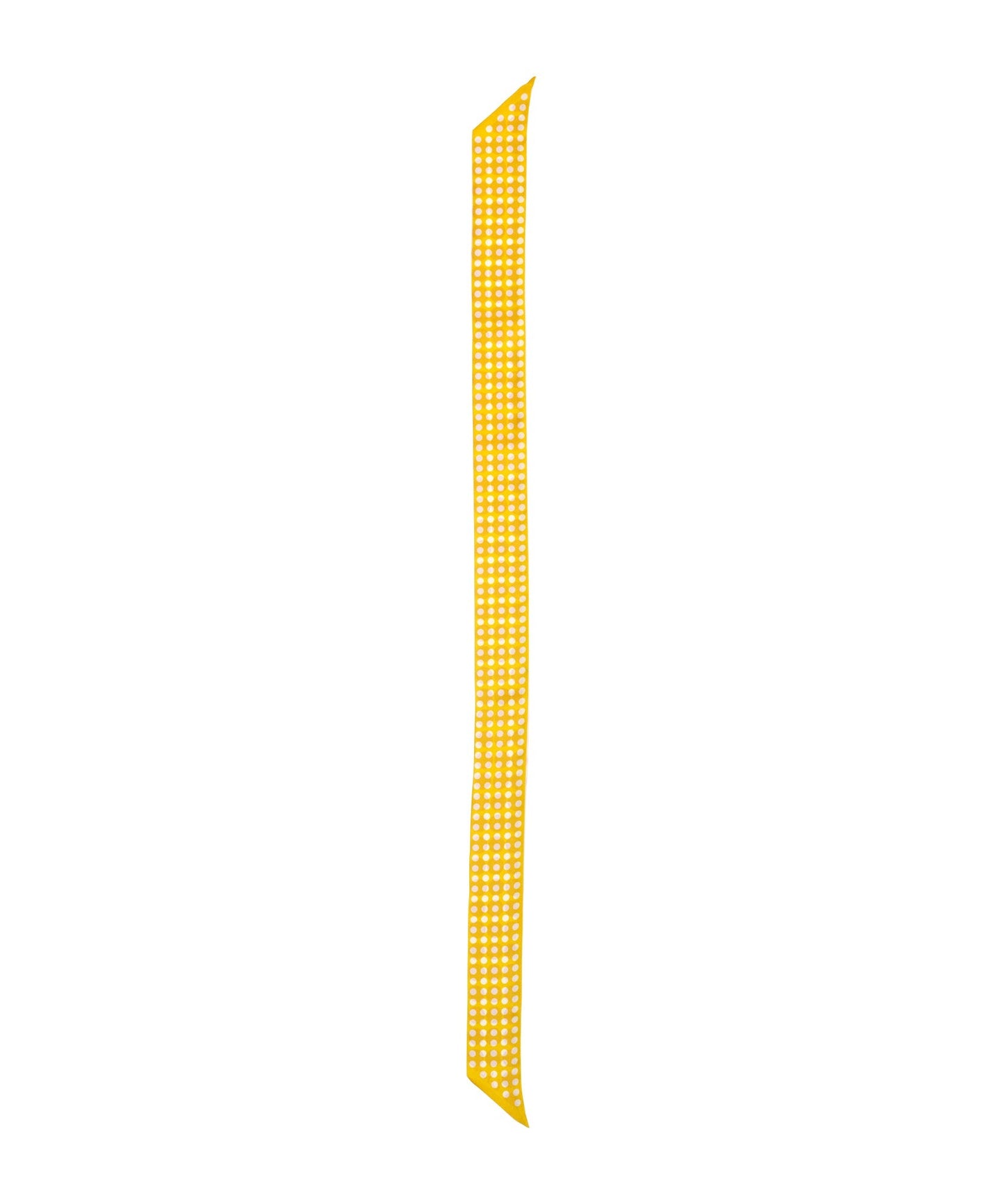 Spot And Dot Silk Ribbon ScarfPosh Boutique