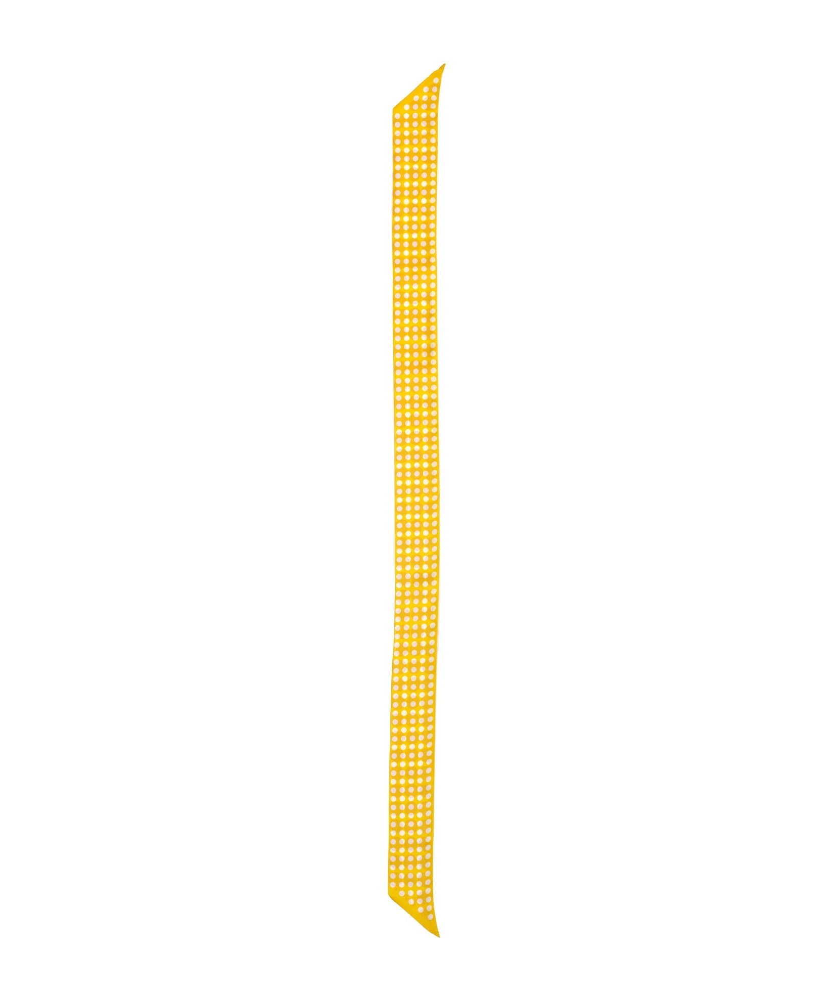 Spot And Dot Silk Ribbon ScarfPosh Boutique